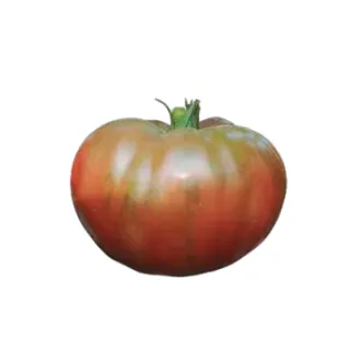 Compra TOMATE NEGRO DE CRIMEA Sel. Batllepro (1000 Semillas). en la tienda online Fito Agrícola