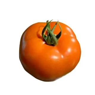 Compra TOMATE PEDRO DS-489 F1 (1.000 Semillas) en la tienda online Fito Agrícola