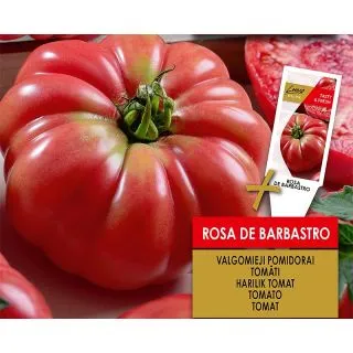 Compra TOMATE ROSA DE BARBASTRO (1000 Semillas). en la tienda online Fito Agrícola