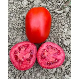 Compra TOMATE RUBIZZO F1 (1.000 Semillas). en la tienda online Fito Agrícola