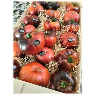 Compra TOMATE TOMABLUE F1 (500 Semillas) en la tienda online Fito Agrícola