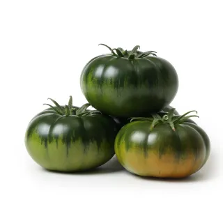 Compra TOMATE TX 2258 F1 (1.000 Semillas). en la tienda online Fito Agrícola