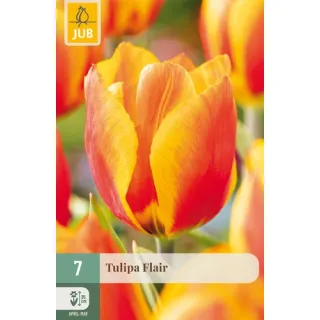 Compra TULIPÁN FLAIR en la tienda online Fito Agrícola