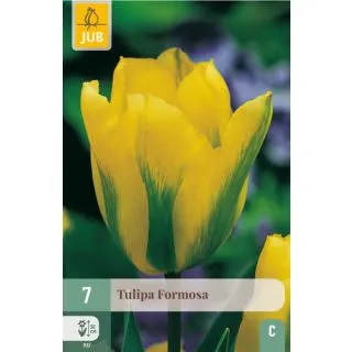 Compra TULIPÁN FORMOSA en la tienda online Fito Agrícola