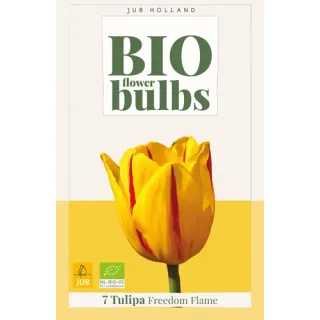 Compra TULIPÁN FREEDOM FLAME BIO en la tienda online Fito Agrícola