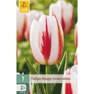 Compra TULIPÁN HAPPY GENERATION en la tienda online Fito Agrícola
