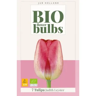 Compra TULIPÁN JUDITH LEYSTER BIO en la tienda online Fito Agrícola