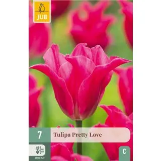 Compra TULIPÁN PRETTY LOVE en la tienda online Fito Agrícola