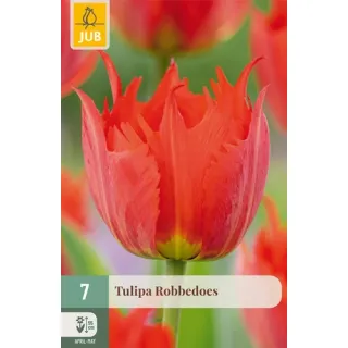Compra TULIPÁN ROBBEDOES en la tienda online Fito Agrícola