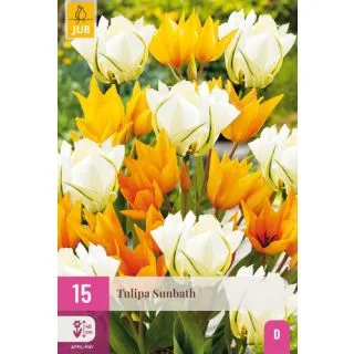 Compra TULIPÁN SUNBATH XXL en la tienda online Fito Agrícola