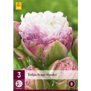Compra TULIPÁN PEGGY WONDER en la tienda online Fito Agrícola