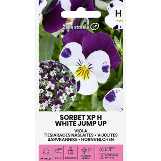 Compra VIOLA SORBET XP WHITE JUMP UP F1 (20 Semillas). en la tienda online Fito Agrícola