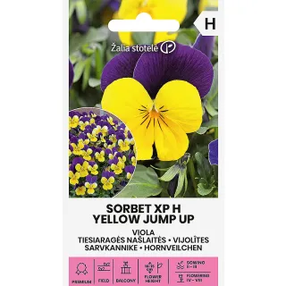 Compra VIOLA SORBET XP YELLOW JUMP UP F1 (20 Semillas). en la tienda online Fito Agrícola