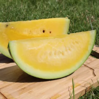 Compra SANDÍA YELLOW BITE (1.000 Semillas). en la tienda online Fito Agrícola