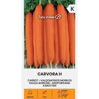 Compra ZANAHORIA CARVORA F1 (1 gr. - Cerca de 800 Semillas). en la tienda online Fito Agrícola