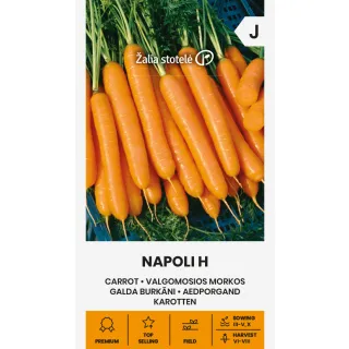 Compra ZANAHORIA NAPOLI F1 Peliculada (1 gr. - Cerca de 775 Semillas). en la tienda online Fito Agrícola