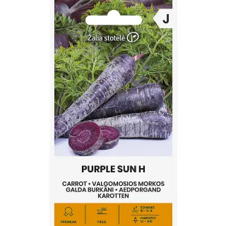 Compra ZANAHORIA PURPLE SUN F1 (0,5 gr. - Cerca de 400 Semillas). en la tienda online Fito Agrícola