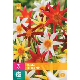 Compra DALIA HONKA MIX XXL en la tienda online Fito Agrícola
