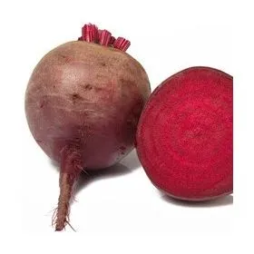 Compra REMOLACHA JOLIE F1 (10.000 Semillas) en la tienda online Fito Agrícola