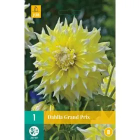 Compra DALIA GRAND PRIX en la tienda online Fito Agrícola