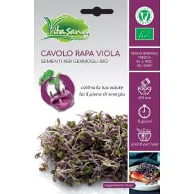 Compra COLIRRÁBANO VIOLETA MICROGREENS BIO (10 gr.) en la tienda online Fito Agrícola