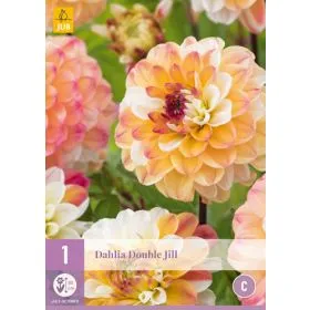 Compra DALIA DOBLE JILL en la tienda online Fito Agrícola