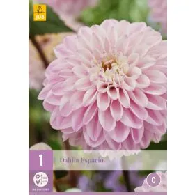 Compra DALIA ESPACIO en la tienda online Fito Agrícola