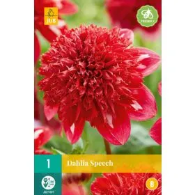 Compra DALIA SPEECH en la tienda online Fito Agrícola