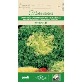 Compra ESCAROLA RIZADA MYRNA F1 Pildorada (20 Semillas) en la tienda online Fito Agrícola