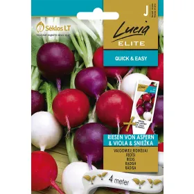 Compra RABANITO RIESEN VON ASPERN, VIOLA, SNIEŽKA EN CINTA SEMBRADORA (4 Metros). en la tienda online Fito Agrícola