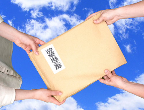 Recogida en tienda Fito Agrícola